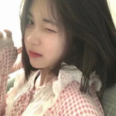 安妮·法兰克的最后七个月