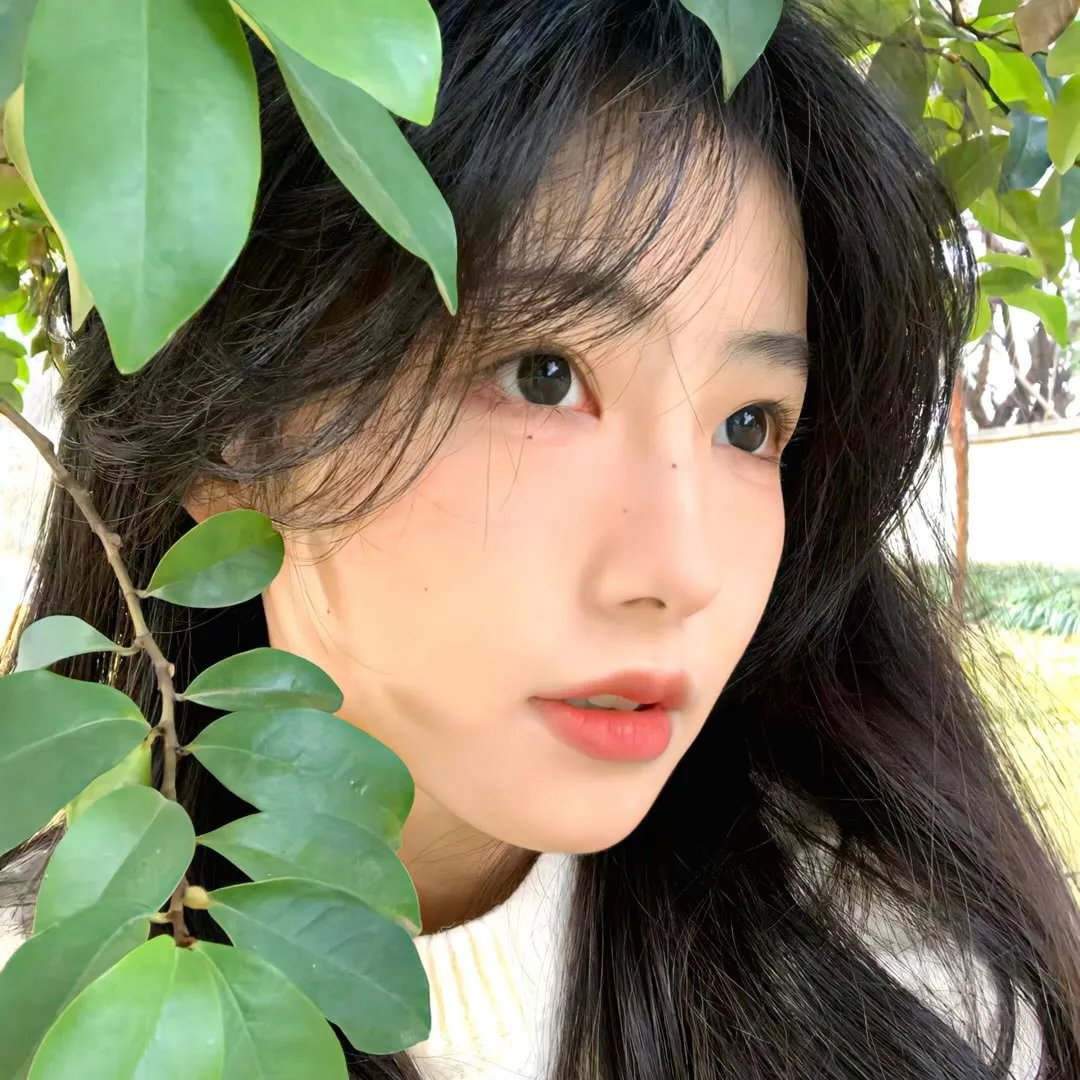 是樱草色 动态漫画